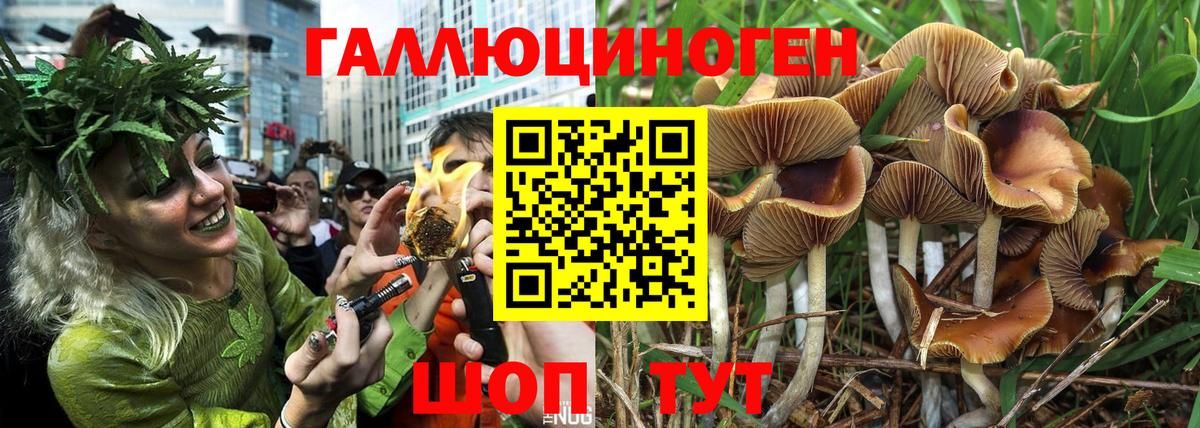 Буйнакск  Галлюциногенные грибы мухоморы  Вход с VPN 