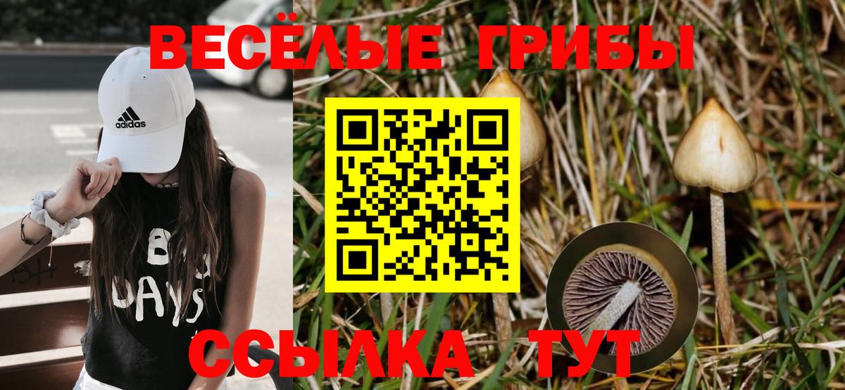 Псилоцибиновые грибы ЛСД Буйнакск